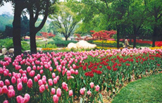 Wuxi Plum Garden and Hengshan Scenic Area